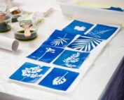 Workshop - Cianotipia - Festival das Artes Inclusivas